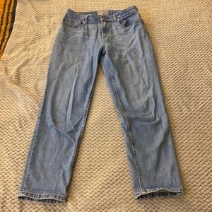 Everlane Curvy Cheeky Jean